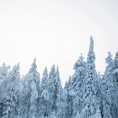בית נופש Villa Rovaniemi רובניימי