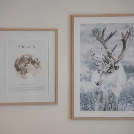 Σπίτι διακοπών Villa Rovaniemi Ροβανιέμι
